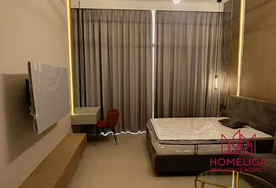 Fully Furnished | Brand New | High ROI