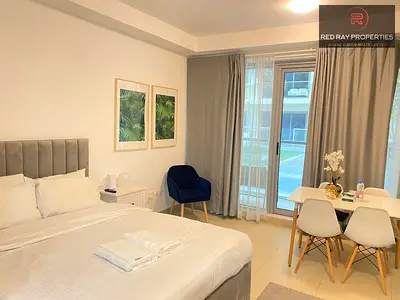 Highly Upgraded Furnished Studio Apart | Monthly