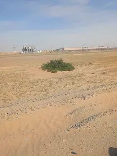 For sale: Residential corner plot in Sharjah, Tilal area, Al Suyoh suburb.