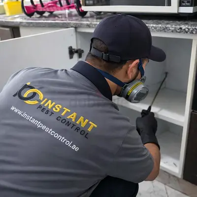 Professional Pest Control Services – 3 Months Warranty – DM Approved