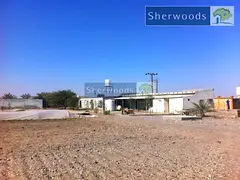 Farm For Sale In Ras Al Khaimah – With Concrete Fence