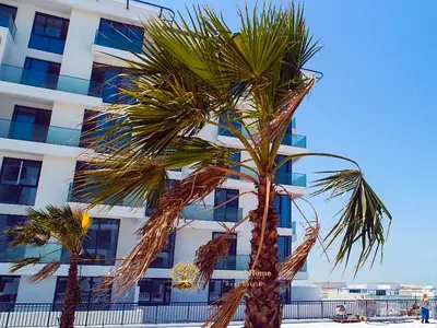 Investor Deal | Seaview | Freehold