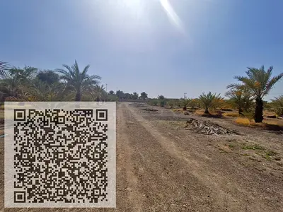 Premium G+2 Freehold Townhouse Plot | 15-Months Payment Plan | Manama Ajman