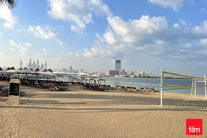 Bulk Deal / Absolute Best Price On The Market