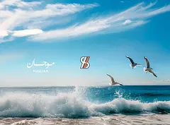 Mawjan by Aqaar – 1 Bedroom | Full Sea View | High Floor | Low Down Payment