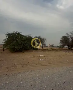 For sale: a very special plot of land in Al-Maliha, directly behind the school, on a corner with two