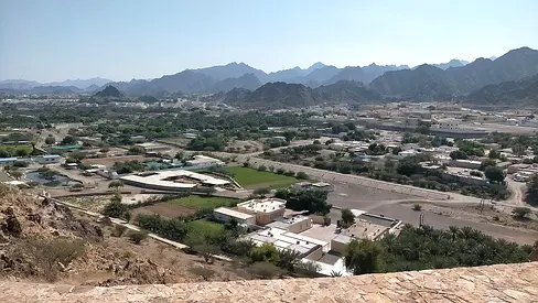 تملك الأن  أرض  تجاريه زاويه في موقع مميز بعجمان لاتفوت الفرصه لاتفوت الفرصه للاستثمار والربج