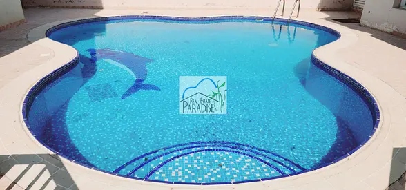 available 3 Bedrooms all master villa/separate back yard/shared swimming pool/tv lounge/2 covered parking/laundry room/maids room / for rent in mirdif