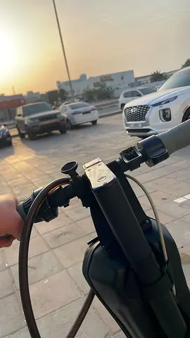 Electric Scooter for Sale