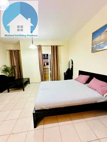 Super Deal Amazing fully furnished Furnished Studio Available with balcony in France Cluster