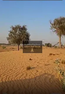 Land for sale in Argoub Industrial City