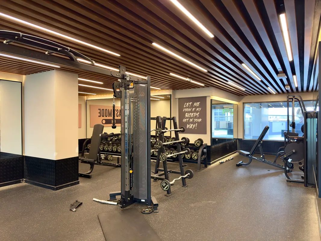 gallery-image