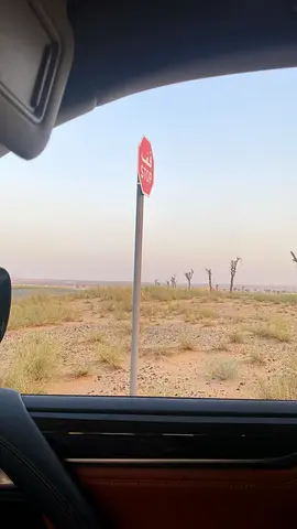 Residential land for sale in the Maysaloon area of ​​Sharjah.