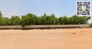 Industrial Land | 12,643 sq ft | Freehold All Nationalities | On 24m Road | Al Saja'a | AED 170/
