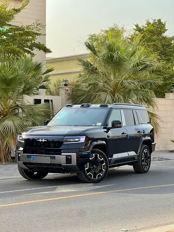 LEOPARD 8 _ FLAGSHIP _ 7 SEATER _ WARRANTY EVS 5 YEARS WITH SERVICE