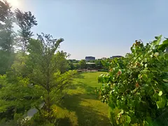 5 Bedroom Forest Villa ||| Specious Big Villa ||| Brand New With Pool