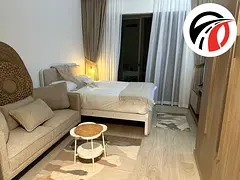 Ready to move fully furnished apartment with chiller free just in 55k