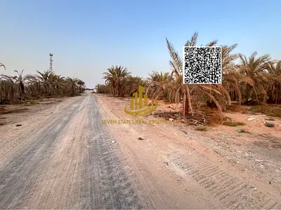 قطعة أرض كورنر مميزة في الزاهية بتملك حر وخطة دفع مرنة، موقع استراتيجي على شارع رئيسي وفرصة مثالية للسكن أو الاستثمار المستقبلي