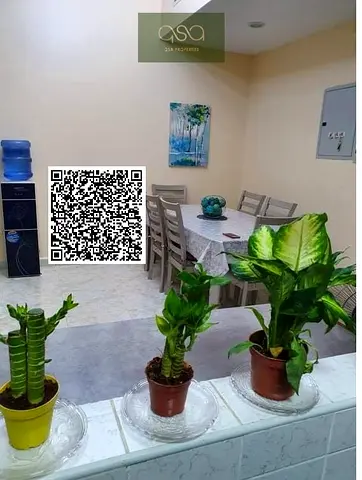 4bhk for Rent in Emirate city ajman