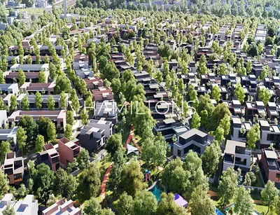 Exclusive Smart Home | Forest Views