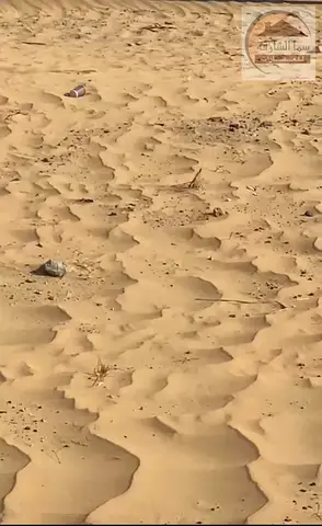 ارض للبيع في معسكر الفلاح - مويلح