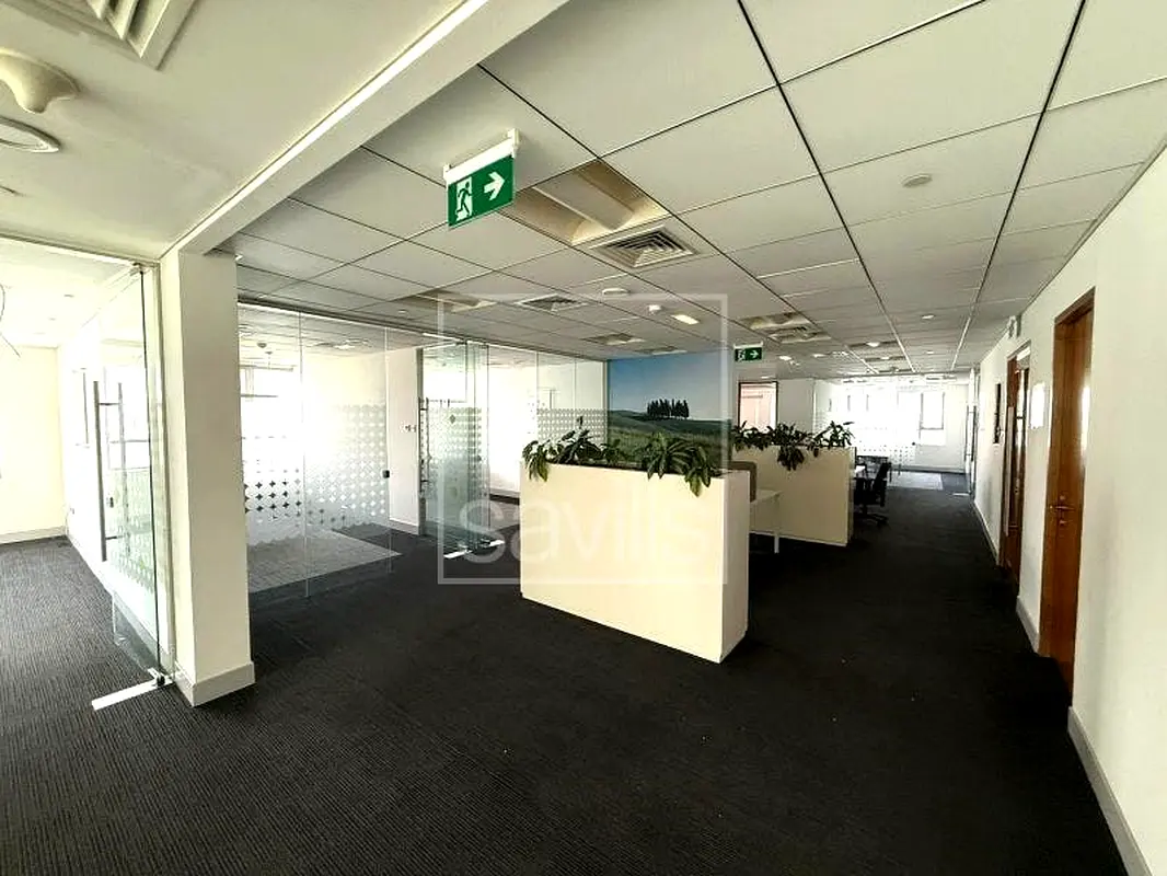 gallery-image