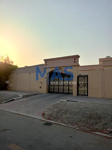 Palm trees, Sharjah Emirate