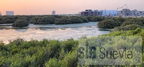 Premium Marina Front Development Plot Al Zorah Marina & Sea View