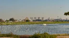 change to Golf &amp; Lake View I BestUnit Location I Semi-furnished