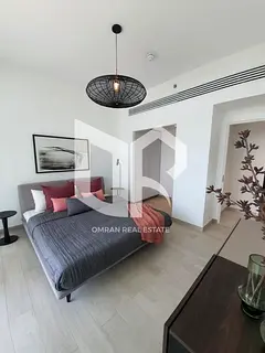 A distinctive studio with an ideal layout within the walkway
