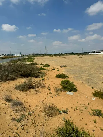 Lands for sale in Al Saja’a