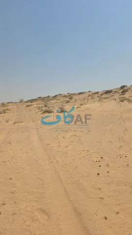 للبيع أرض سكنية في امارة الشارقة منطقة عذيب