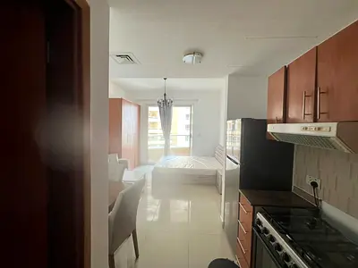 Fully Furnished | Studio With Parking | Lake View