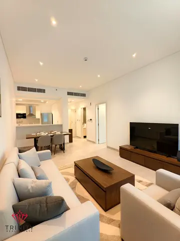 Elegant New Furnished Apartments – Multiple Units Available