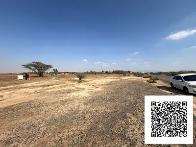 AVALABLE RESIDENTIAL 4700 SQ,FT PLOTS FOR SALLE IN AL MANAMA,8 AJMAN UAE