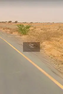 For sale: A plot of land in the Al Madam commercial area.