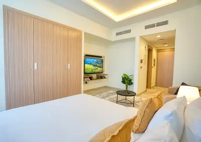 Magnificent and Elegantly Furnished Studio For Rent (Brand New)