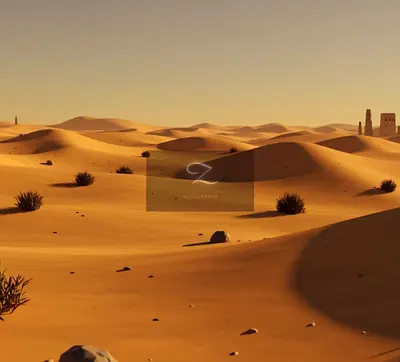 For sale: A plot of land in the Al Sajaa area.