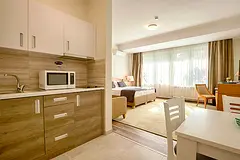 Lavish Studio fully furnished free bills