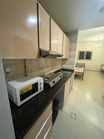 Executive Bachelors Studio Available In Gated Community