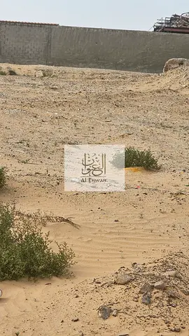 قطعه ارض للبيع بالحوشي