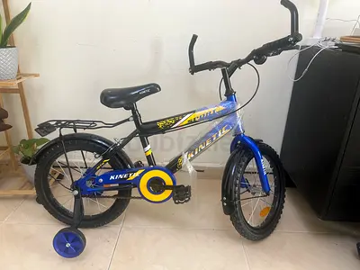 Kinetic Kids Bicycle