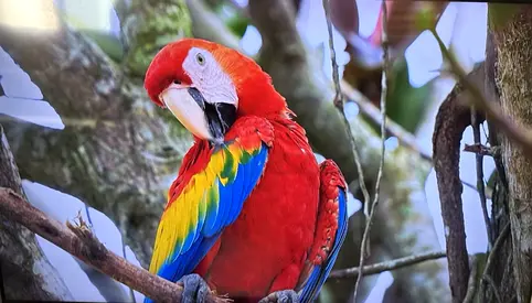 Samsung 55” 4K UHD Smart TV – Excellent Condition