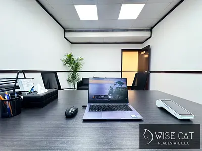 عنوان مميز لاستئجار مكتب افتراضي في البر الرئيسي/المنطقة الحرة | فحوصات بنكية غير محدودة لمدة عام | دخول مجاني إلى قاعة الاجتماعات