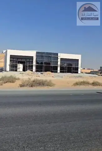 للايجار محلات فى منطقه الصجعه على الشارع الرئيسي 3 محلات تصلح لجميع الانشطه على شارع علي موسى موقع مميز جدا مساحه كل محل 113 متر عرض حدود 8 متر واجه ل