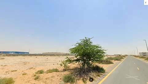للبيع ارض بالصجعه مساحه كبيره