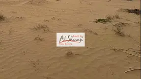 Residential land for sale in Al Hooshi area, Sharjah at a competitive price