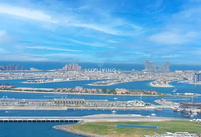 Beautiful View of Palm | Furnished | Vacant