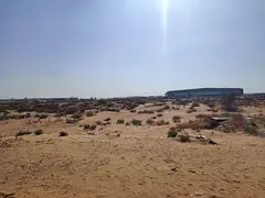Prime Freehold Land for Sale in Al Saja’a – Large Plots Near Emirates Road &amp; Auctions