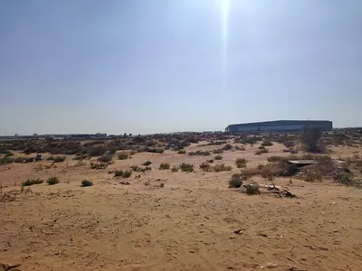 Prime Freehold Land for Sale in Al Saja’a – Large Plots Near Emirates Road & Auctions